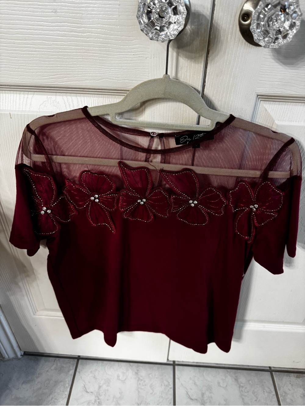 Burgundy Short-Sleeve Top with Sheer Mesh Yoke and Floral Appliqué